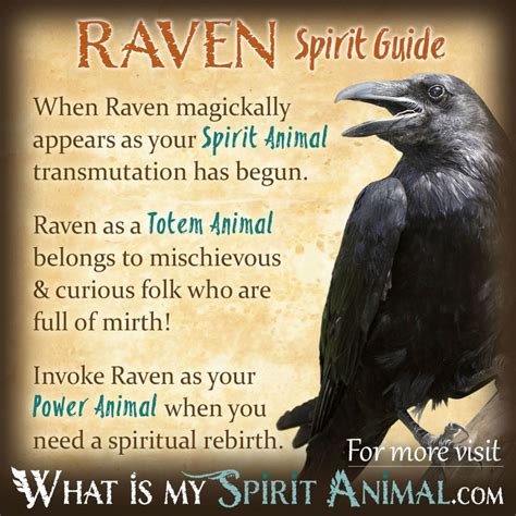 Biblical Meaning Of Raven In A Dream - DREAMAIP