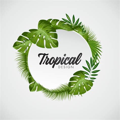 Free Vector | Tropical leaves background