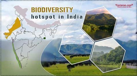 Biodiversity hotspots in India | hotspots of biodiversity in India ...