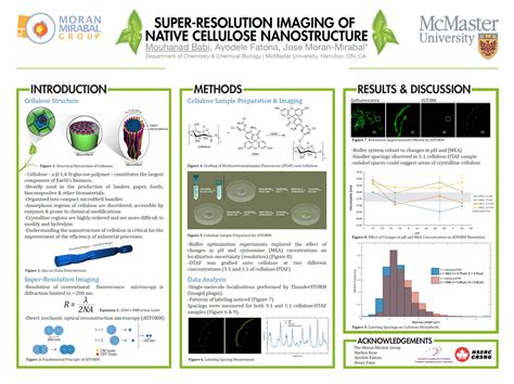 How to Make a Scientific Poster [+ Examples]