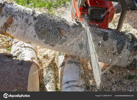 Cut the logs with a chainsaw to prepare firewood — Stock Photo ...