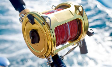 7 Best Saltwater Fishing Reels - AquaViews