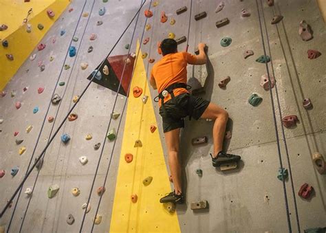 Discover the Top Rock Climbing Gyms in the Metro | Booky