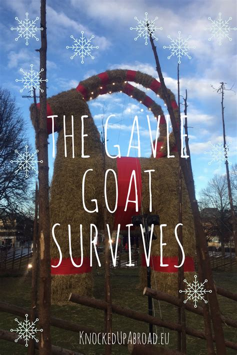 The Gävle Goat Survives - Knocked Up Abroad