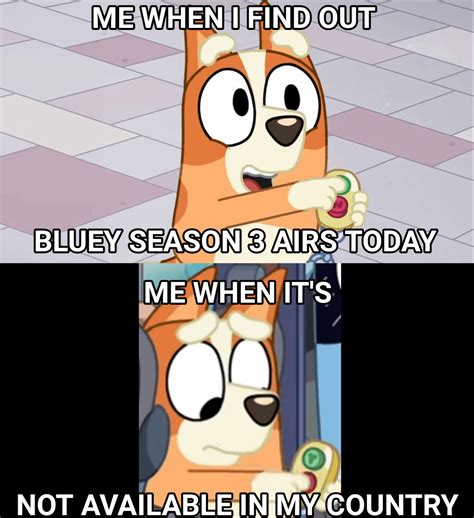 I know, it was yesterday. I made this meme to cope. : r/bluey