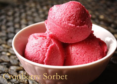 Cranberry Sorbet - Suzie The Foodie