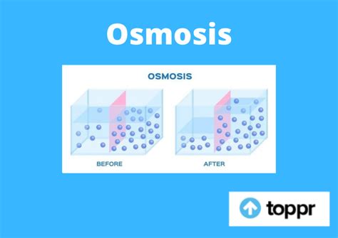 Osmosis: Definition, Reverse Osmosis Definition, FAQs