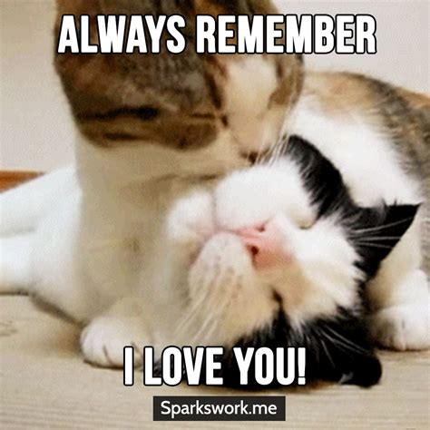 Yes..... Meow :) I love you too.... | Cute animal quotes, Love memes ...