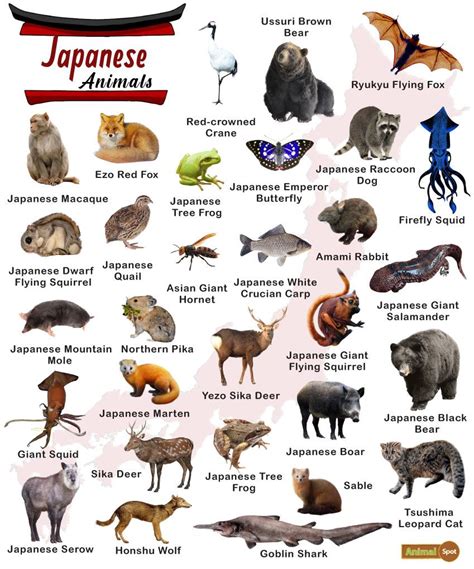 Top 194+ List of all animals in japanese - Merkantilaklubben.org