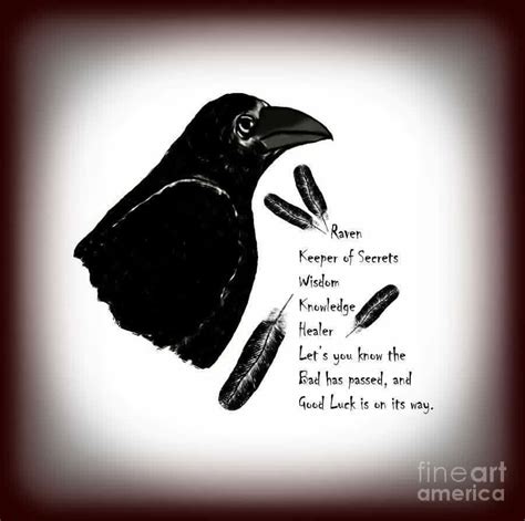 Raven tarot card | Meaning of raven, Raven spirit animal, Raven