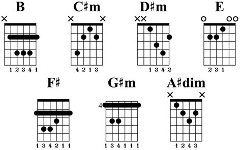 B Major Scale Chords Guitar | Hot Sex Picture