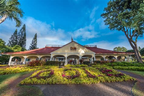 Dole Pineapple Plantation Information, History & More | Oahu Hawaii