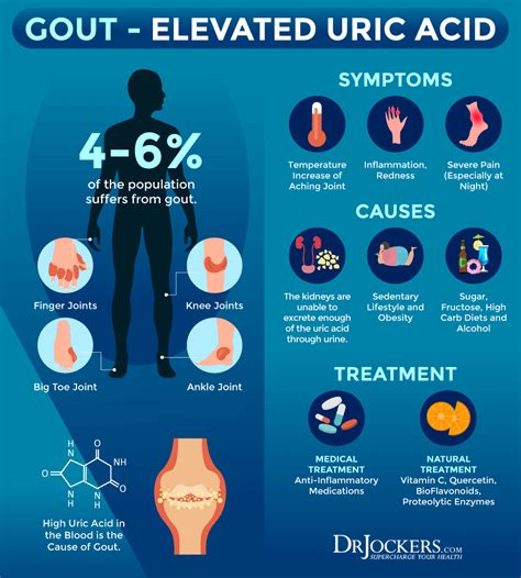 Uric Acid: A Key Player in Cardio, Brain, and Metabolic Diseases