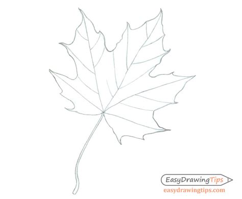 How to Draw a Maple Leaf in 3 Steps- EasyDrawingTips