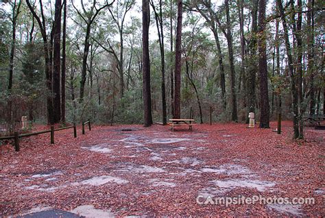 Suwannee River State Park - Campsite Photos, Info & Reservations