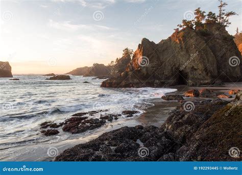 Secret Beach, Oregon stock image. Image of evergreen - 192293445