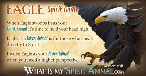 Eagle Symbolism & Meaning | Spirit, Totem & Power Animal