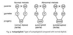 Autopolyploid | definition of autopolyploid by Medical dictionary