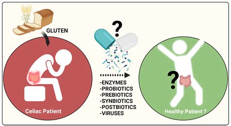 Celiac disease | MohuaMitsuru