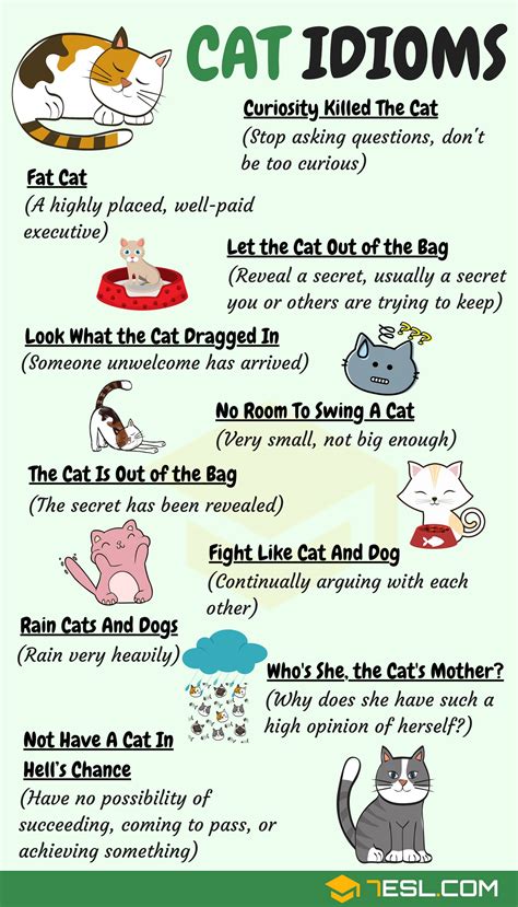 Animal Idioms: 165 Useful Animal Idioms from A-Z • 7ESL