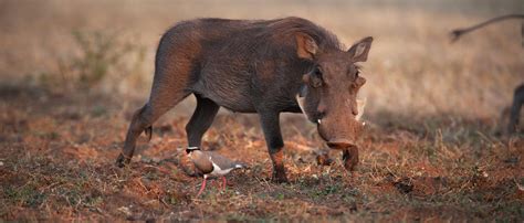 Monique Samuels calls Charisse Jordan a "Warthog" and a "Walrus ...