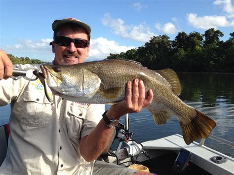 Barramundi - Fishing Cairns