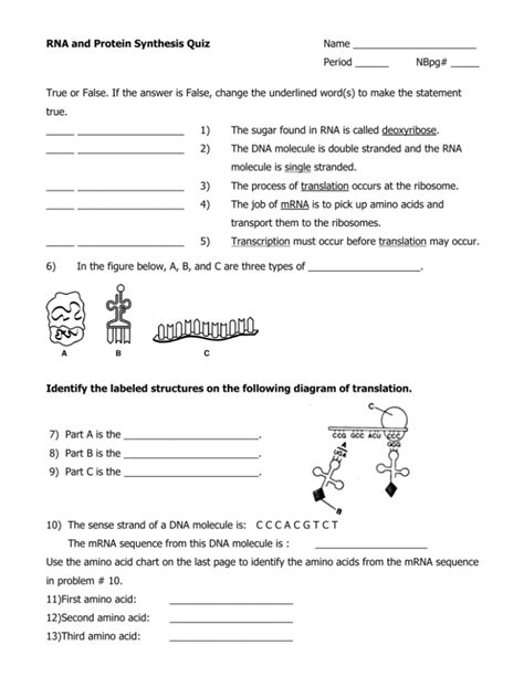 RNA and Protein Synthesis Quiz