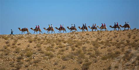 Negev Desert - Israel Travel Guide - America Israel Tours