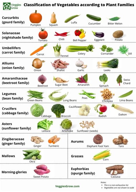 Free Poster: Classification of Vegetables according to Plant Families ...