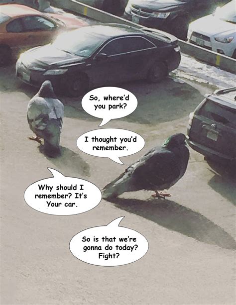 pigeons - Meme by geraltofrivia1234 :) Memedroid