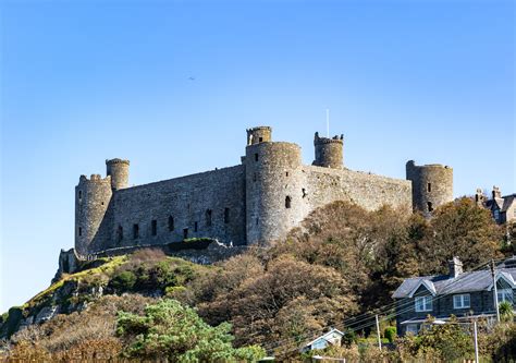 Does Harlech Castle Allow Dogs