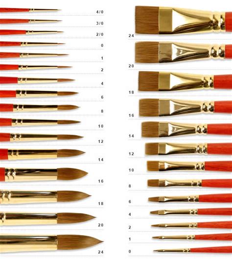 Purchase Guide: Brush Size Chart | MisterArt.com