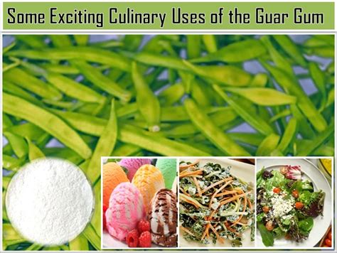 Some Exciting Culinary Uses of the Guar Gum