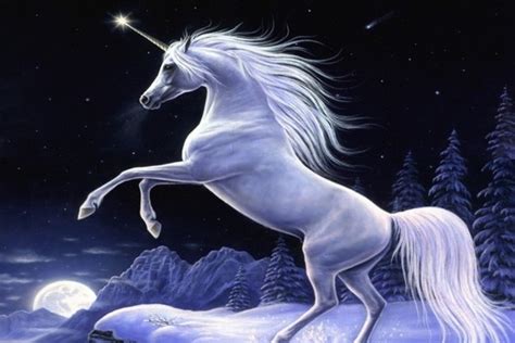 Top 10 Mythical Creatures that May have Actually Existed