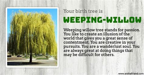 Pin by Renee Barradas on Astrology♍♏♈ | Willow tree meaning, Weeping ...