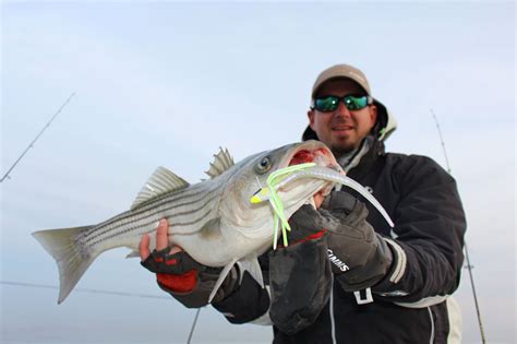 Fishing For Striped Bass for Beginners | FishTalk Magazine