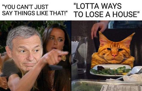 ron | Ron Perlman Cats | Know Your Meme