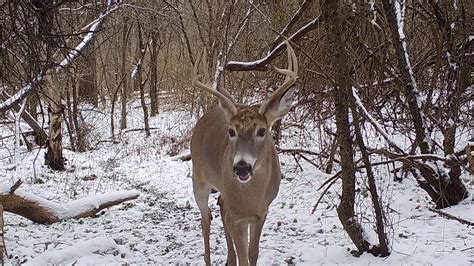 These tips can lead to successful late-season deer hunting