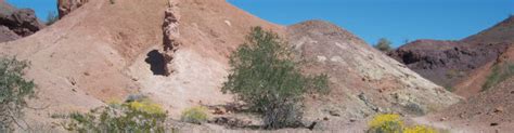 Painted Desert Trail | Colorado River Paddle Boat Cruises