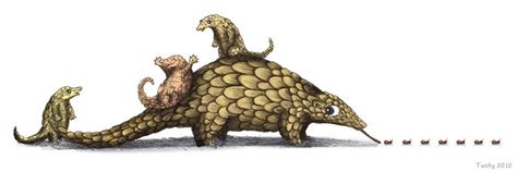 pangolin with little ones eating ants