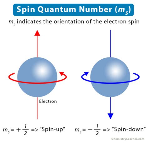 Spin Quantum Number: Definition, Significance, and Value