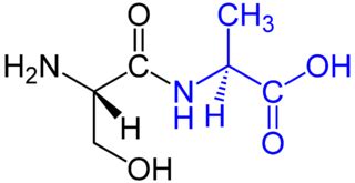 Structure Of Dipeptide