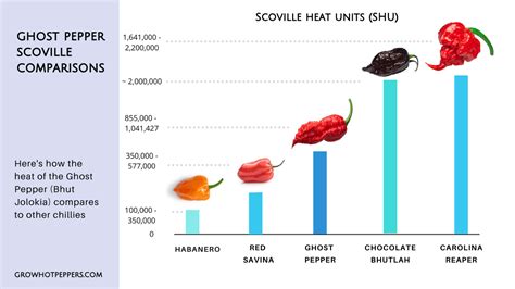 Chocolate reaper pepper scoville - xolercrew