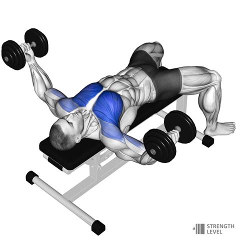 Dumbbell Fly Standards for Men and Women (lb) - Strength Level