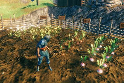 How To Get Turnip Seeds In Valheim 2023