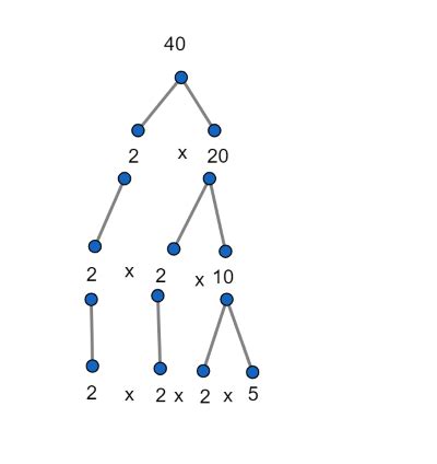 Factor Tree Overview & Examples - Video & Lesson Transcript | Study.com