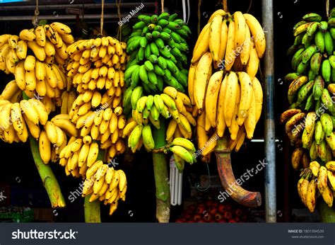 Varieties Bananas Hanging On Display Kerala Stock Photo 1801994539 ...