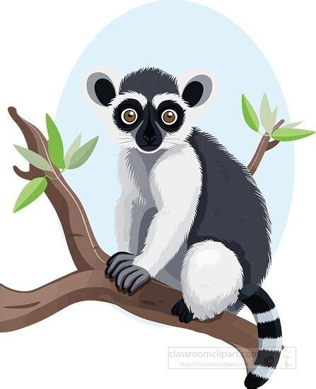 Lemur Clipart-lemur sits on tree in its natural habitat clip art