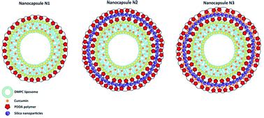 Liposome-based nanocapsules for the controlled release of dietary ...