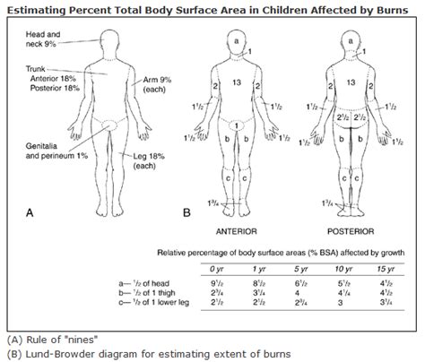 Pediatric Burns | PM&R KnowledgeNow